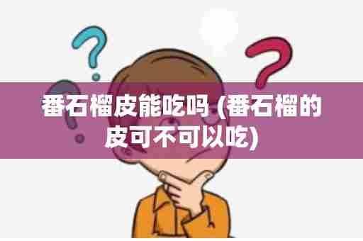 番石榴皮能吃吗 (番石榴的皮可不可以吃)