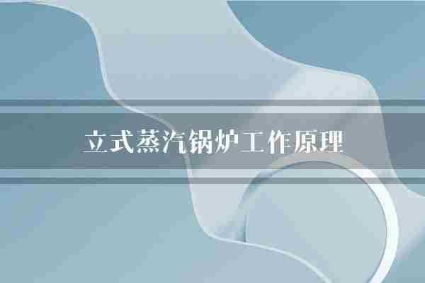 立式蒸汽锅炉工作原理(锅炉蒸汽烟气)