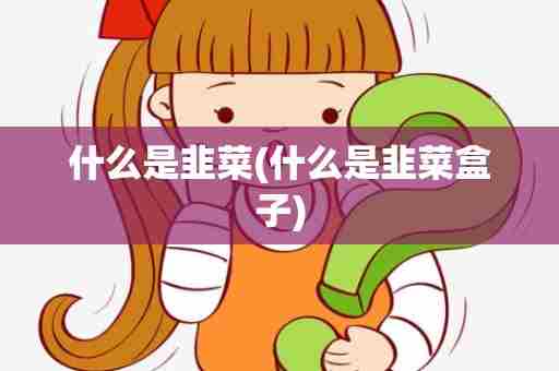 什么是韭菜(什么是韭菜盒子)