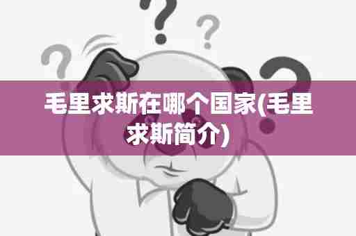 毛里求斯在哪个国家(毛里求斯简介)