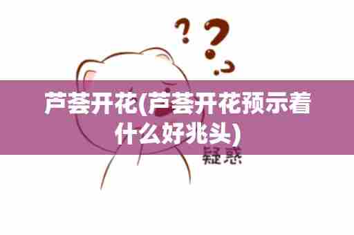 芦荟开花(芦荟开花预示着什么好兆头)