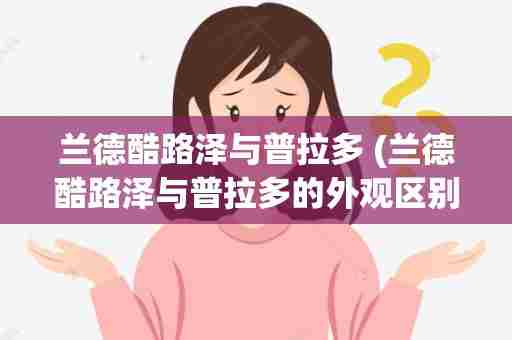 兰德酷路泽与普拉多 (兰德酷路泽与普拉多的外观区别)