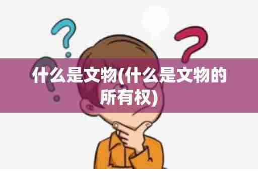 什么是文物(什么是文物的所有权)