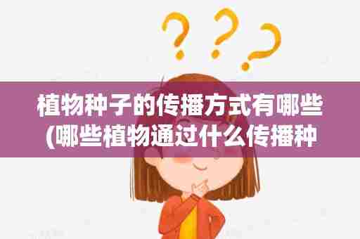 植物种子的传播方式有哪些(哪些植物通过什么传播种子)