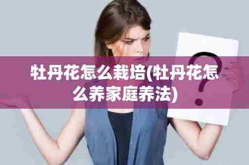 牡丹花怎么栽培(牡丹花怎么养家庭养法)