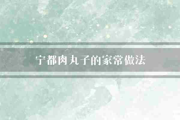 宁都肉丸子的家常做法(肉丸子宁都口感)
