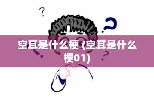 空耳是什么梗 (空耳是什么梗01)