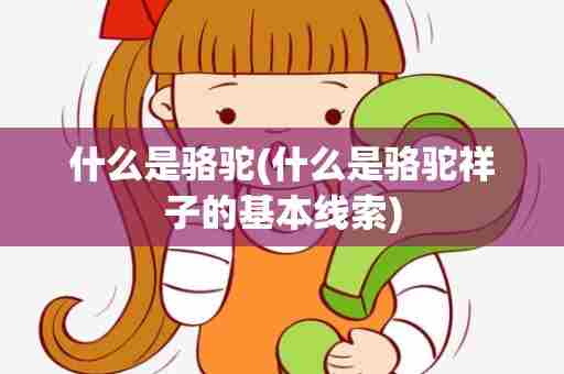 什么是骆驼(什么是骆驼祥子的基本线索)