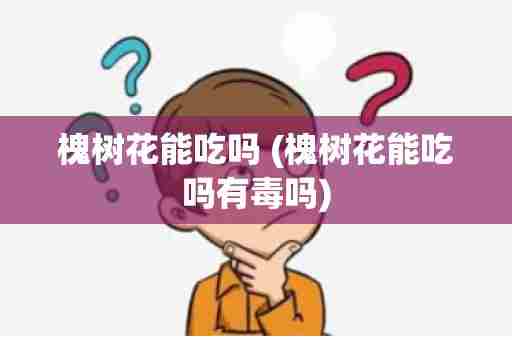 槐树花能吃吗 (槐树花能吃吗有毒吗)