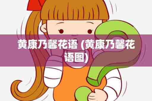 黄康乃馨花语 (黄康乃馨花语图)