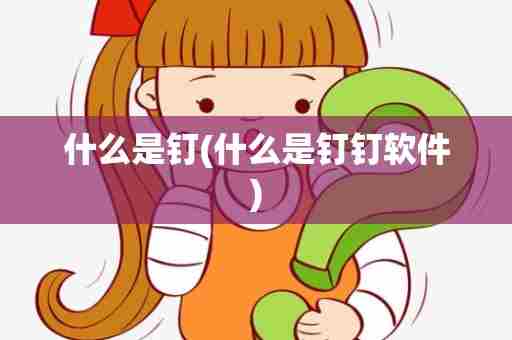 什么是钉(什么是钉钉软件)