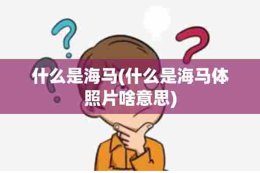 什么是海马(什么是海马体照片啥意思)