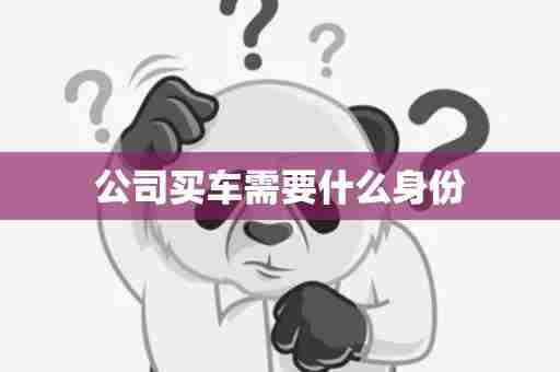 公司买车需要什么身份