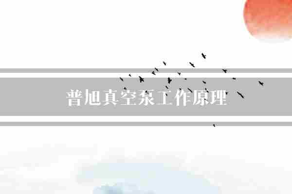 普旭真空泵工作原理(真空泵离心力离心泵)