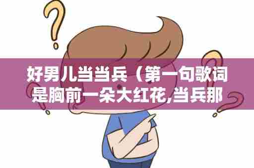 好男儿当当兵（第一句歌词是胸前一朵大红花,当兵那天戴上了它，是什么歌曲）