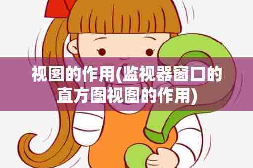 视图的作用(监视器窗口的直方图视图的作用)