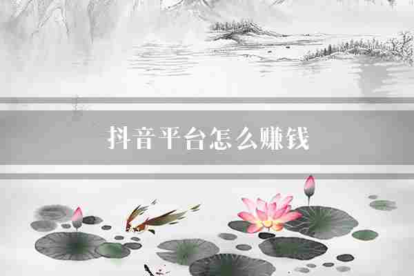 抖音平台怎么赚钱(自己的视频你可以)