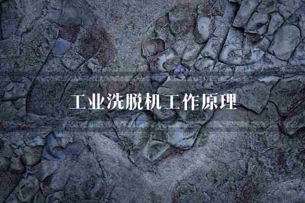 工业洗脱机工作原理(物料工业洗涤剂)