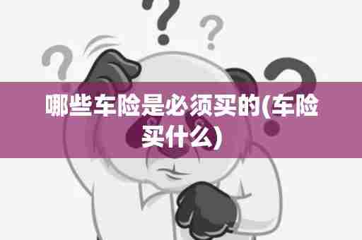 哪些车险是必须买的(车险买什么)