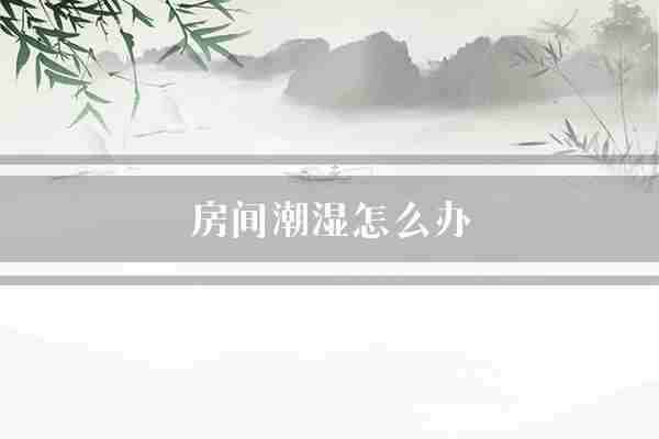 房间潮湿怎么办(室内湿度潮湿)