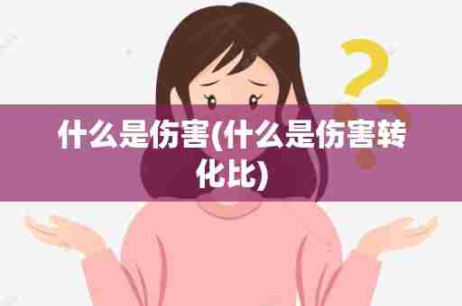 什么是伤害(什么是伤害转化比)