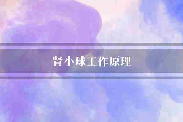 肾小球工作原理(肾小球肾小管毛细血管)