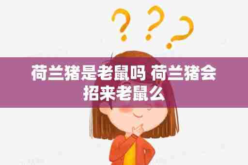 荷兰猪是老鼠吗 荷兰猪会招来老鼠么