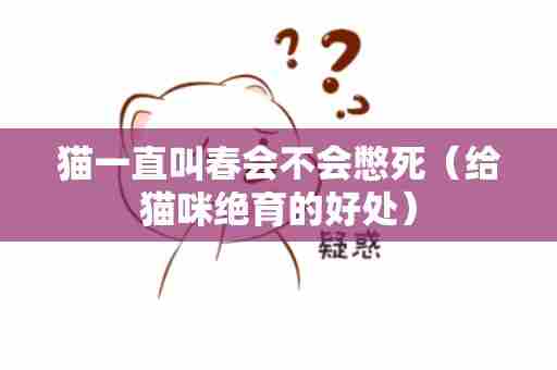 猫一直叫春会不会憋死（给猫咪绝育的好处）